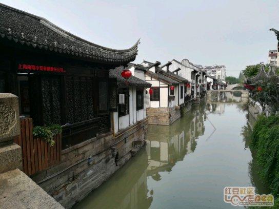 新民艺评丨《烟火人间》：在璀璨烟火中映照人生的素朴底色